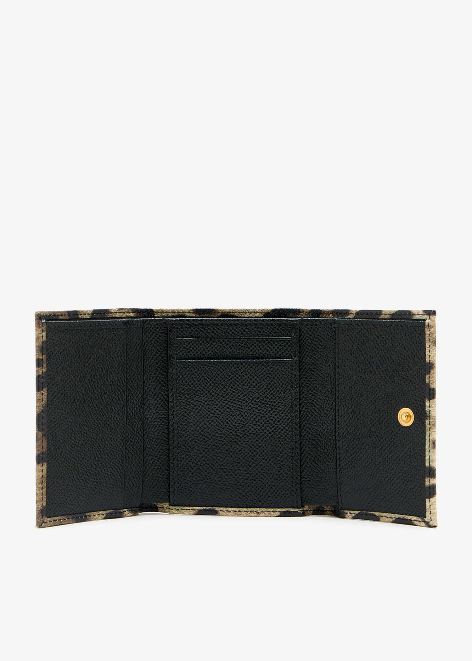 Dolce&Gabbana Leopard-print wallet for Women - Animal Printed in