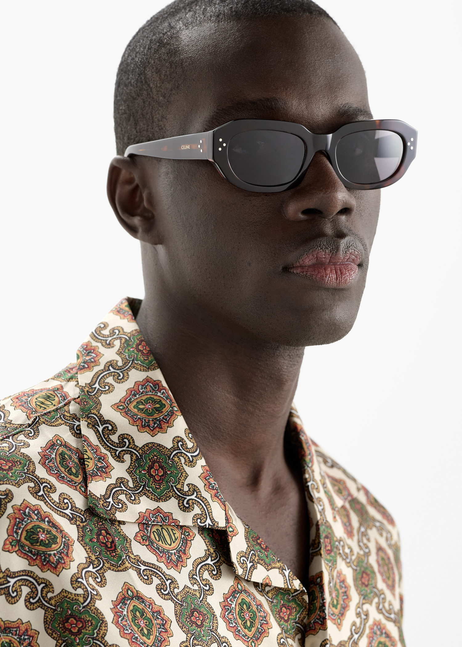 CELINE CELINE 3 Dots oval sunglasses for Men - Brown in USA 
