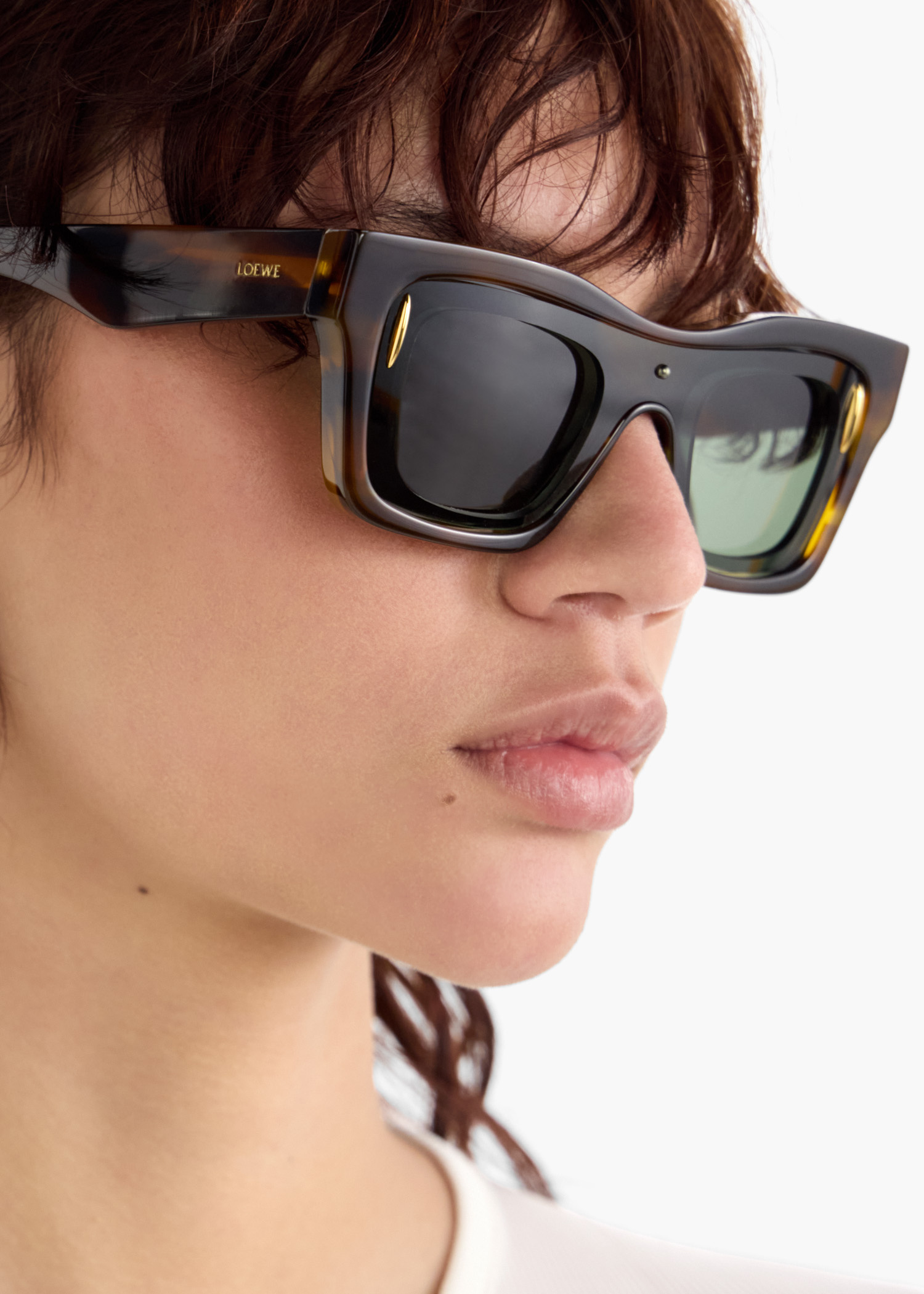 LOEWE Cinema Double Layer sunglasses for Women - Brown in