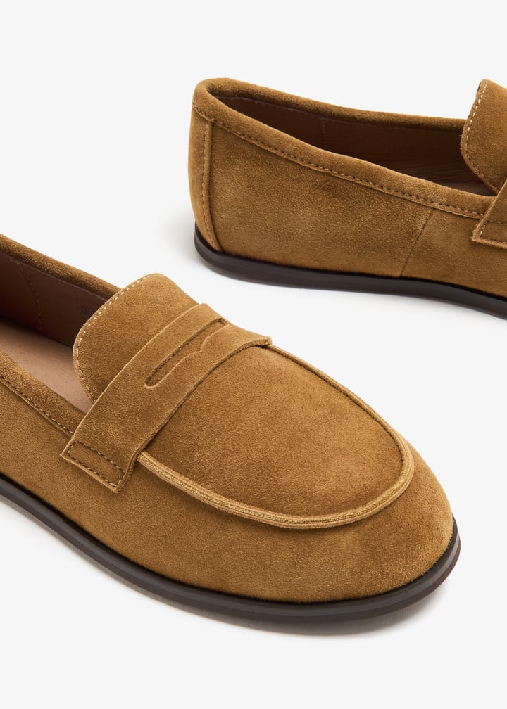 000362-camel_5.jpg?ts=20240207033514