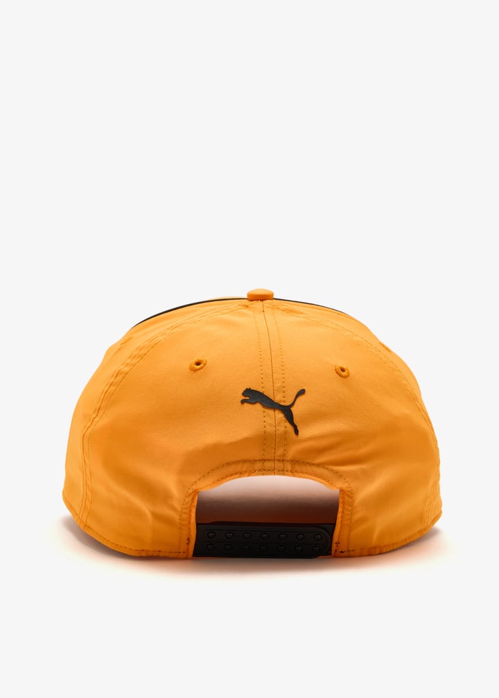 027478-02_6.jpg?ts=20260815025521
