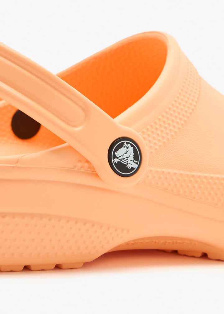 10001-86a_5.jpg?ts=20260217123532