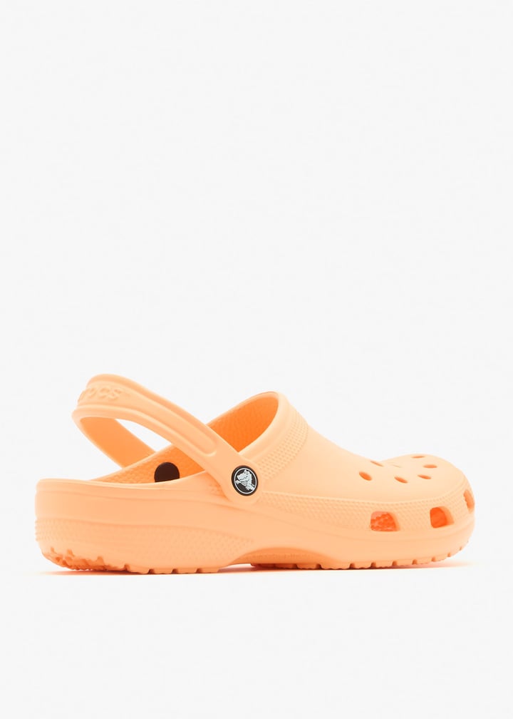 10001-86a_6.jpg?ts=20260217123532