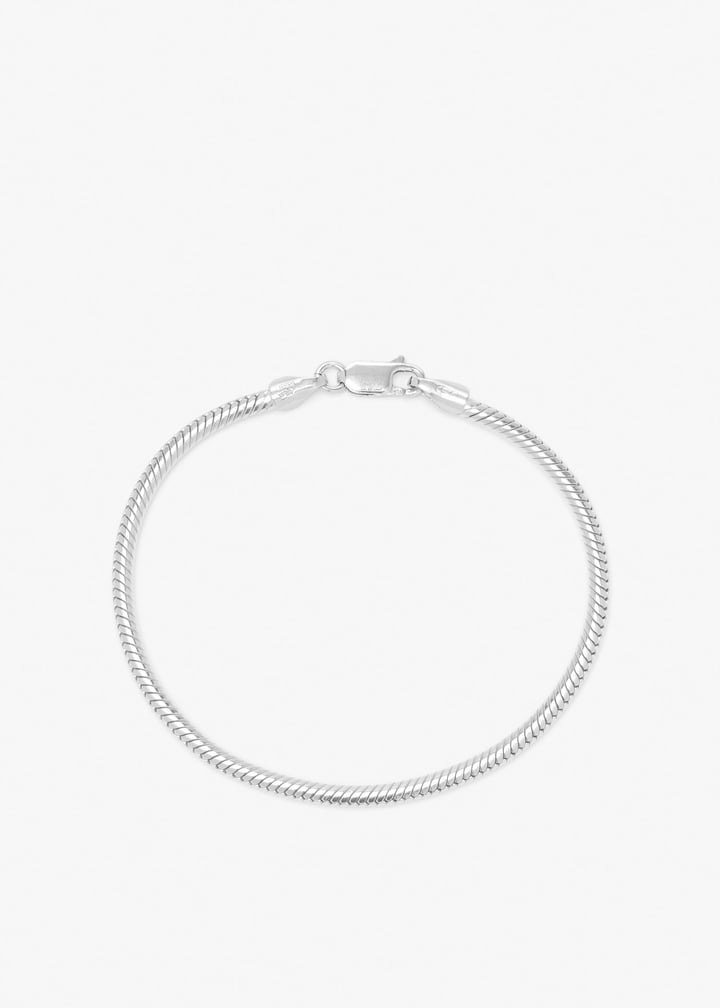 100301001-silver_1.jpg?ts=20260207021036