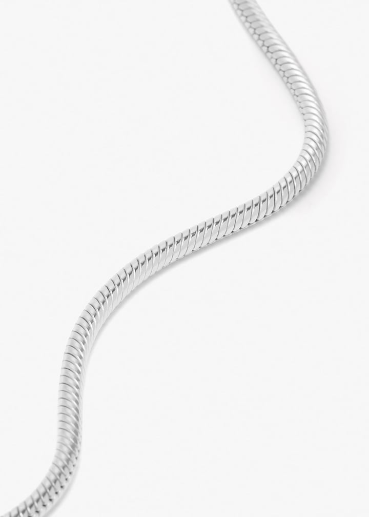 100301001-silver_5.jpg?ts=20260207021036