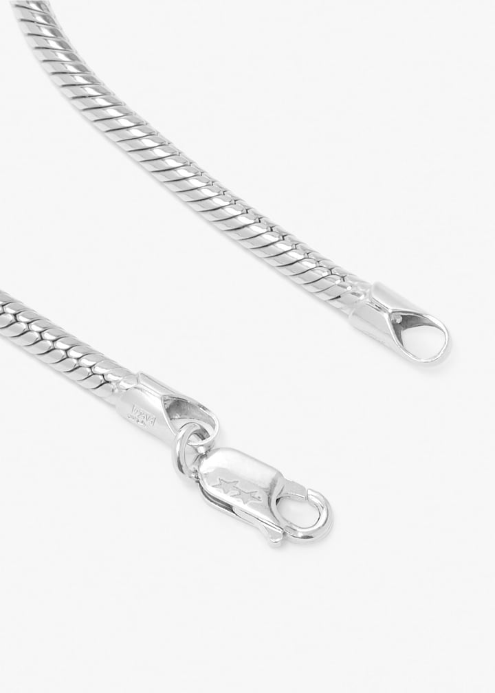 100301001-silver_6.jpg?ts=20260207021036