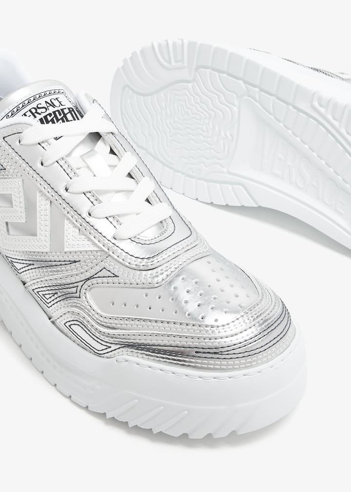 1008124-1a10367-2ed50_5.jpg?ts=20240329033519