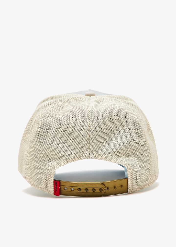 101-0310-sto_3.jpg?ts=20241025031014