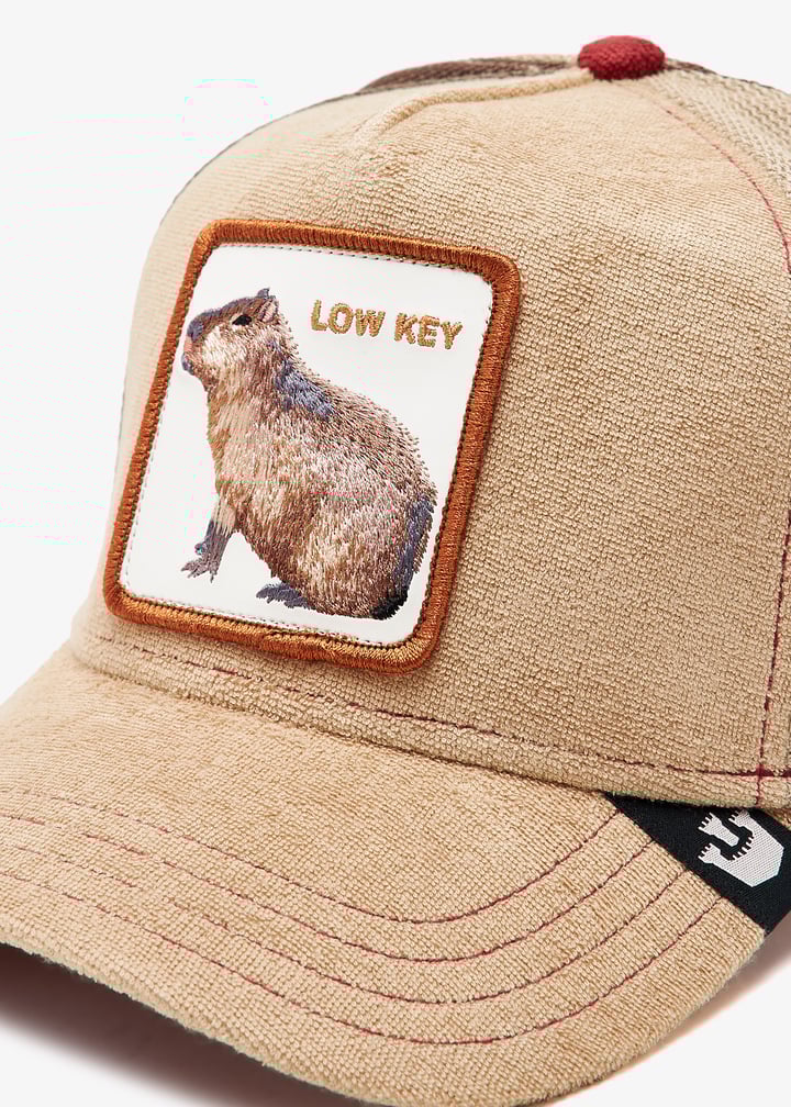 101-0354-tan_2.jpg?ts=20241025031014