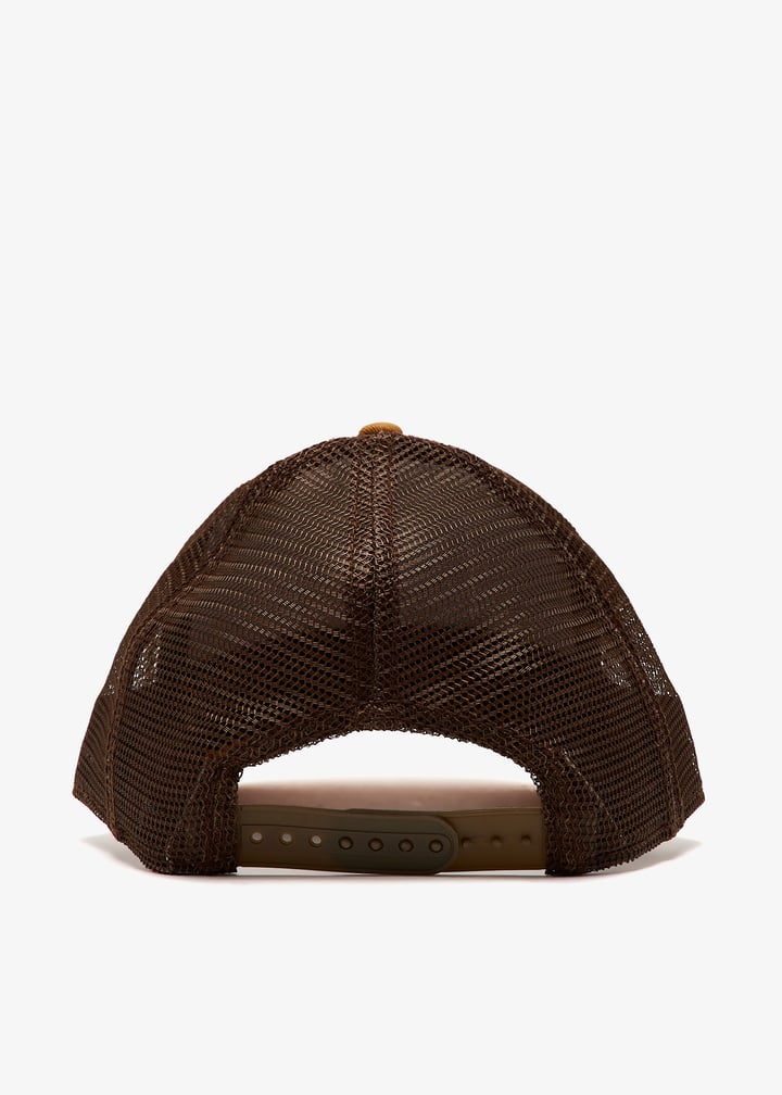 101-0485-bro_3.jpg?ts=20241025030512