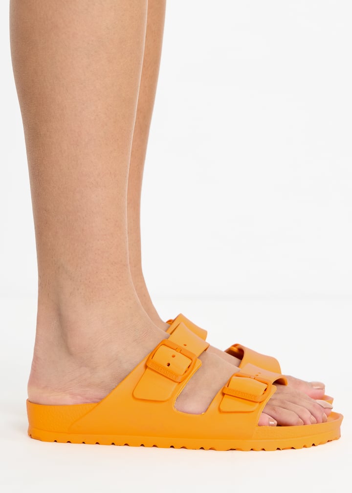 1015470-zinnia_2.jpg?ts=20260204022048