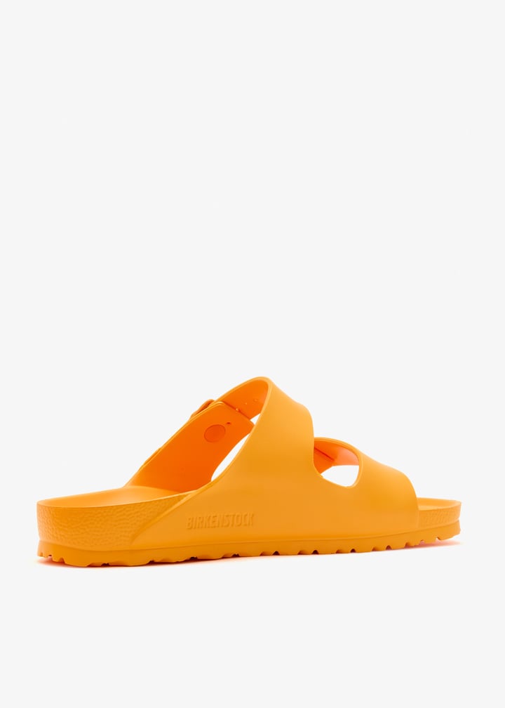 1015470-zinnia_6.jpg?ts=20260128075053