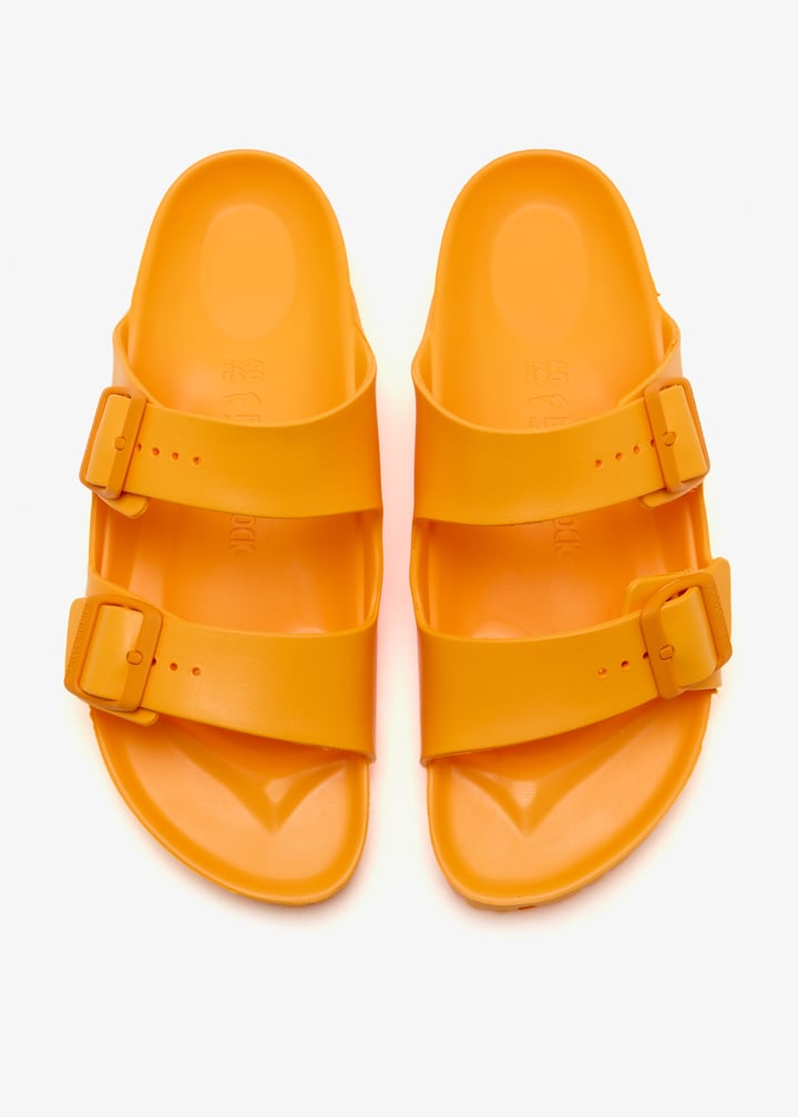 1015470-zinnia_7.jpg?ts=20260204022048