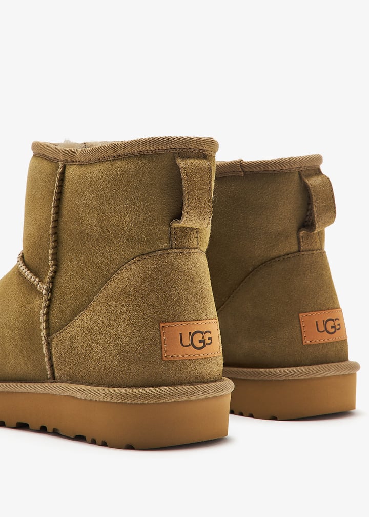 1016222-alp_5.jpg?ts=20241121032513