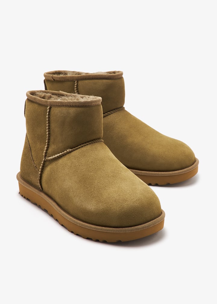 1016222-alp_7.jpg?ts=20241121032513