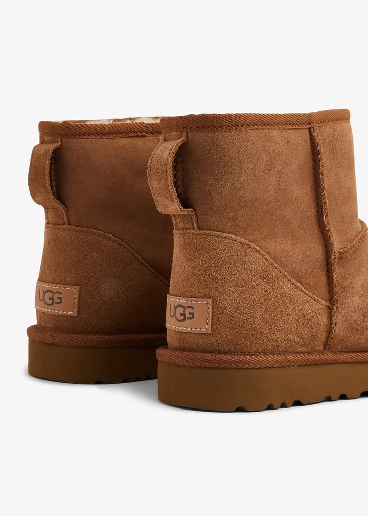 1016222-che_3.jpg?ts=20240802032013