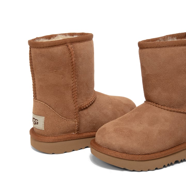 1017703t-chsnut_2.jpg?ts=20240706035513