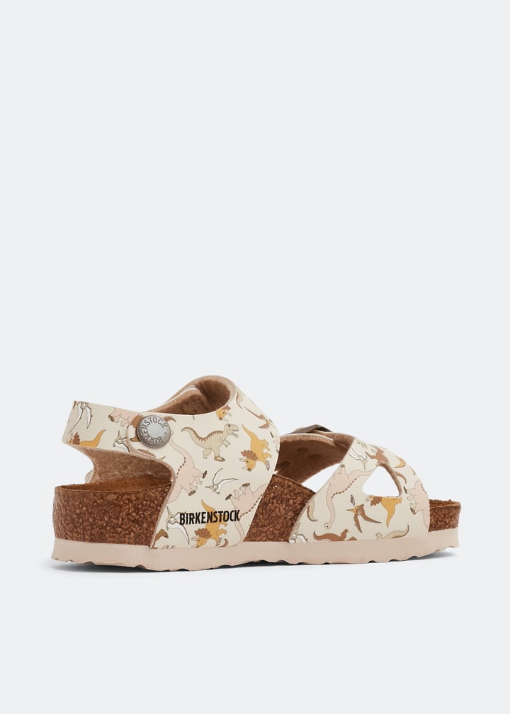 1023414-ligros_3.jpg?ts=20220830030506