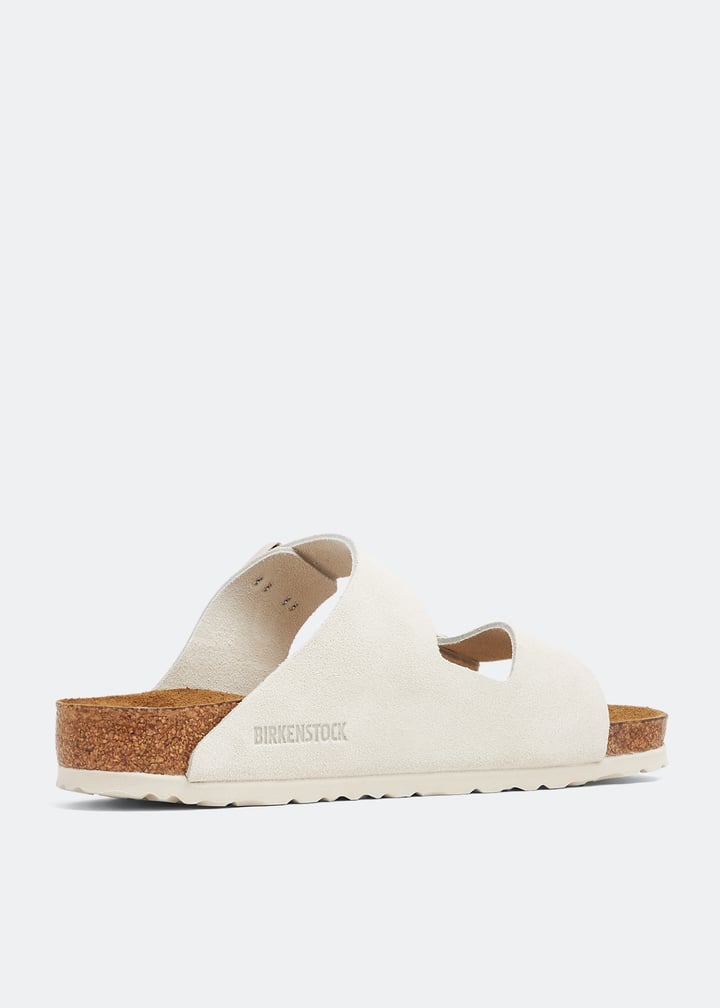 1024554-antwht_4.jpg?ts=20230610030512