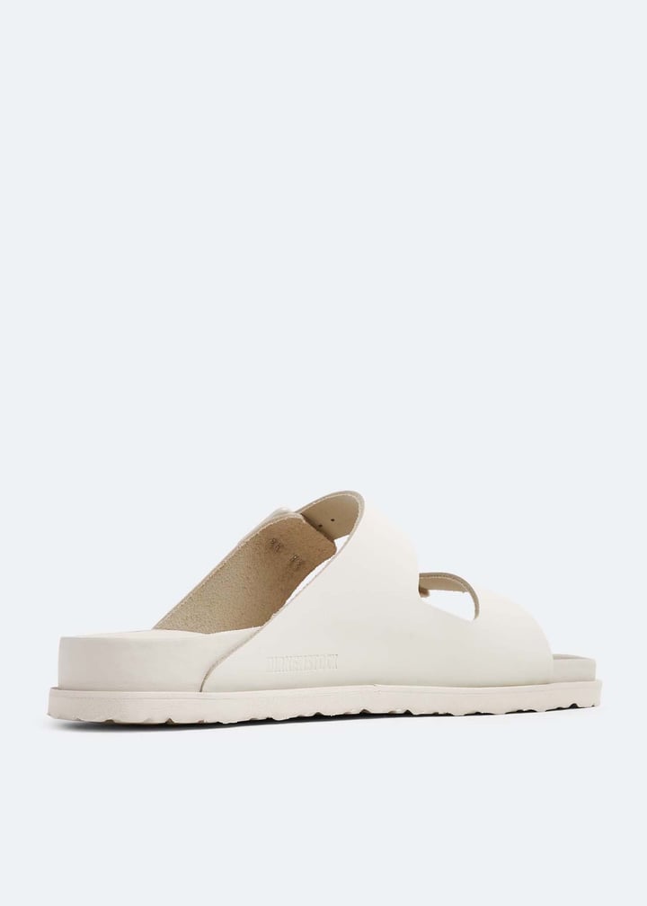 1025980-bone_4.jpg?ts=20230817034008