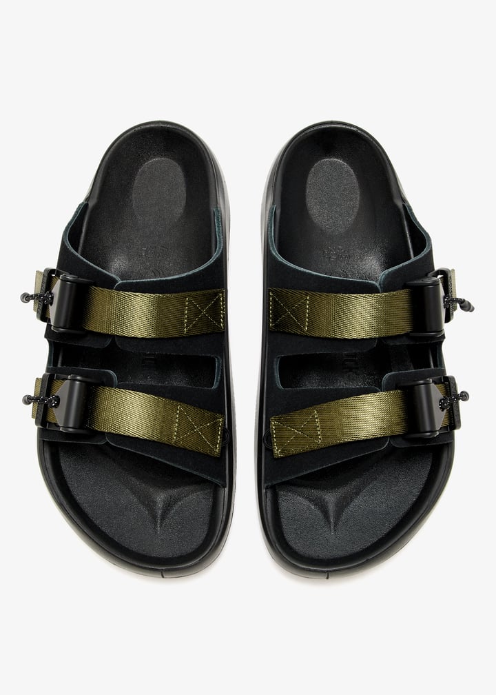 1030031-olive_7.jpg?ts=20250524030532