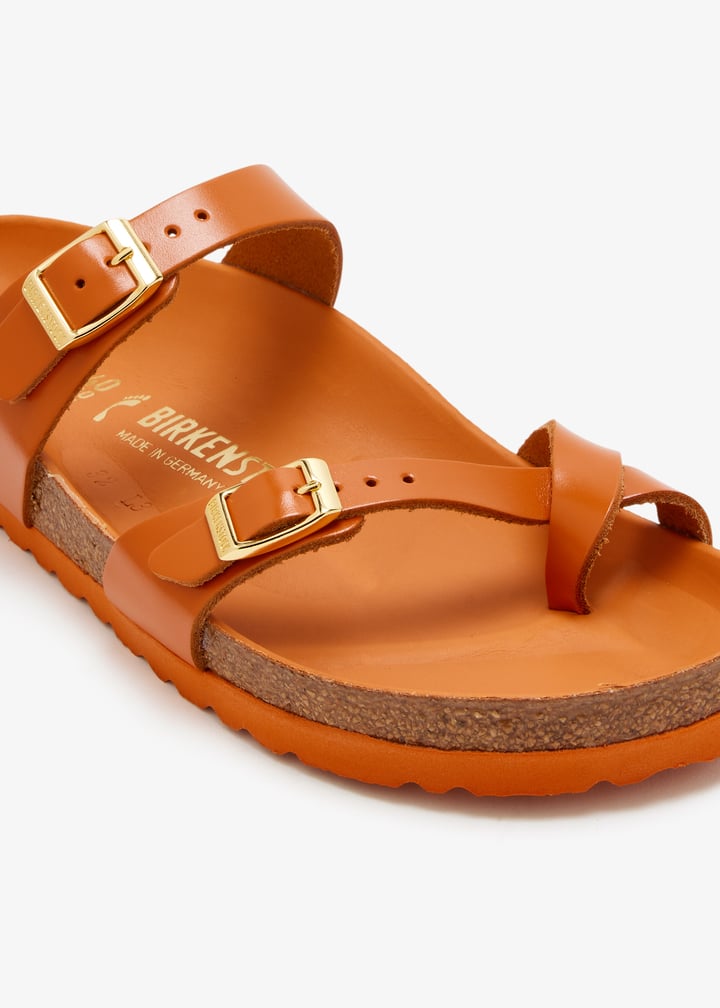 1031456-amlkrm_5.jpg?ts=20260207021039