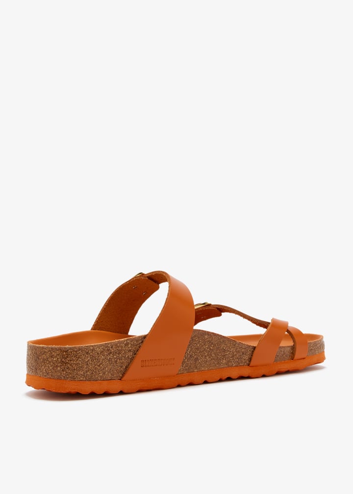 1031456-amlkrm_6.jpg?ts=20260207021039