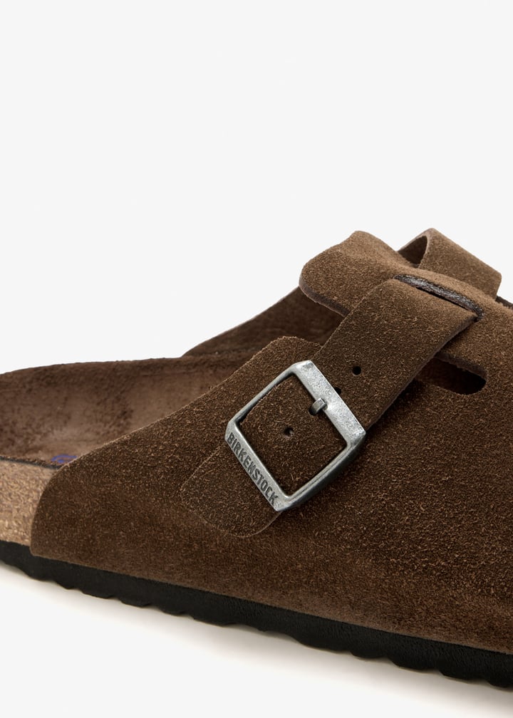 1031641-catofb_5.jpg?ts=20260128075142