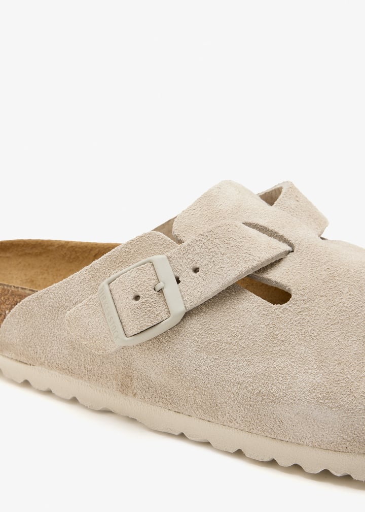 1031662-oyster_5.jpg?ts=20260131025057