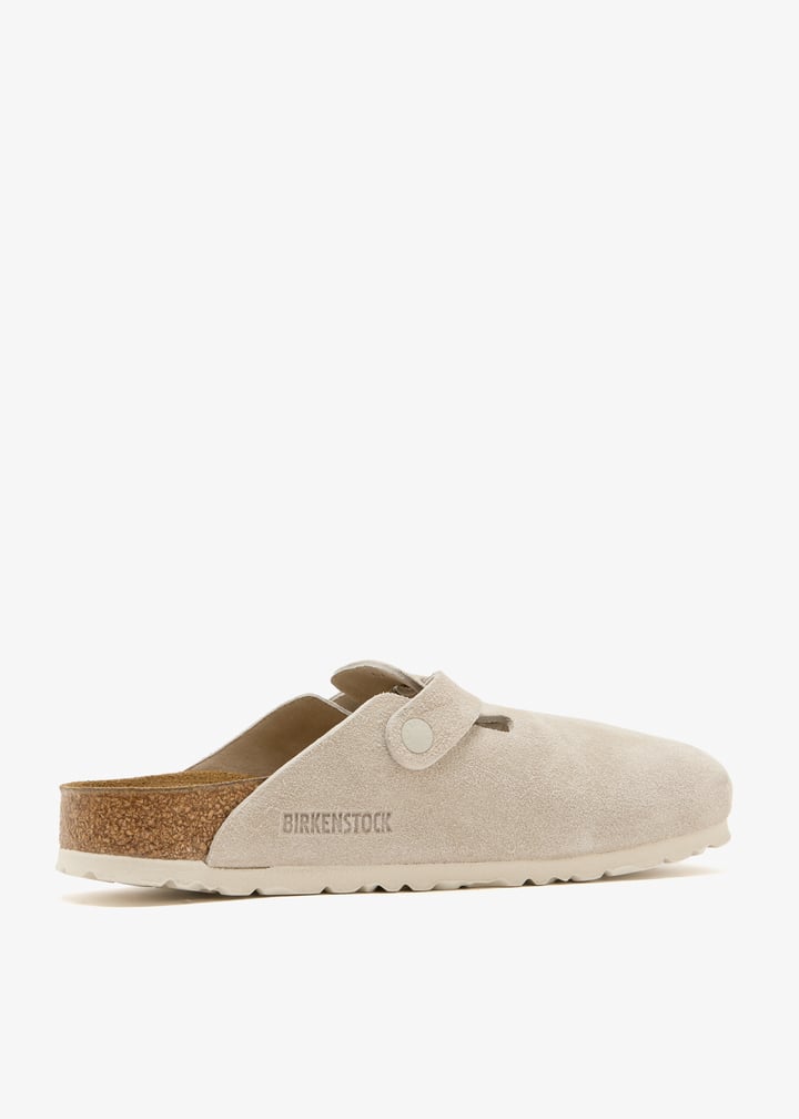 1031662-oyster_6.jpg?ts=20260131025057