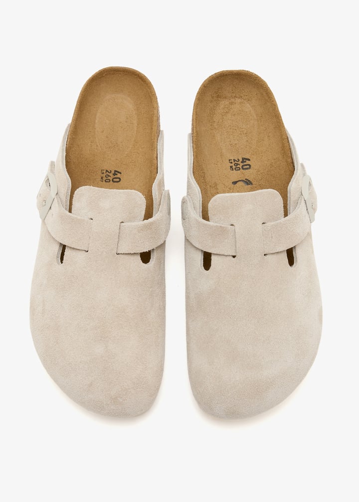 1031662-oyster_7.jpg?ts=20260131025057