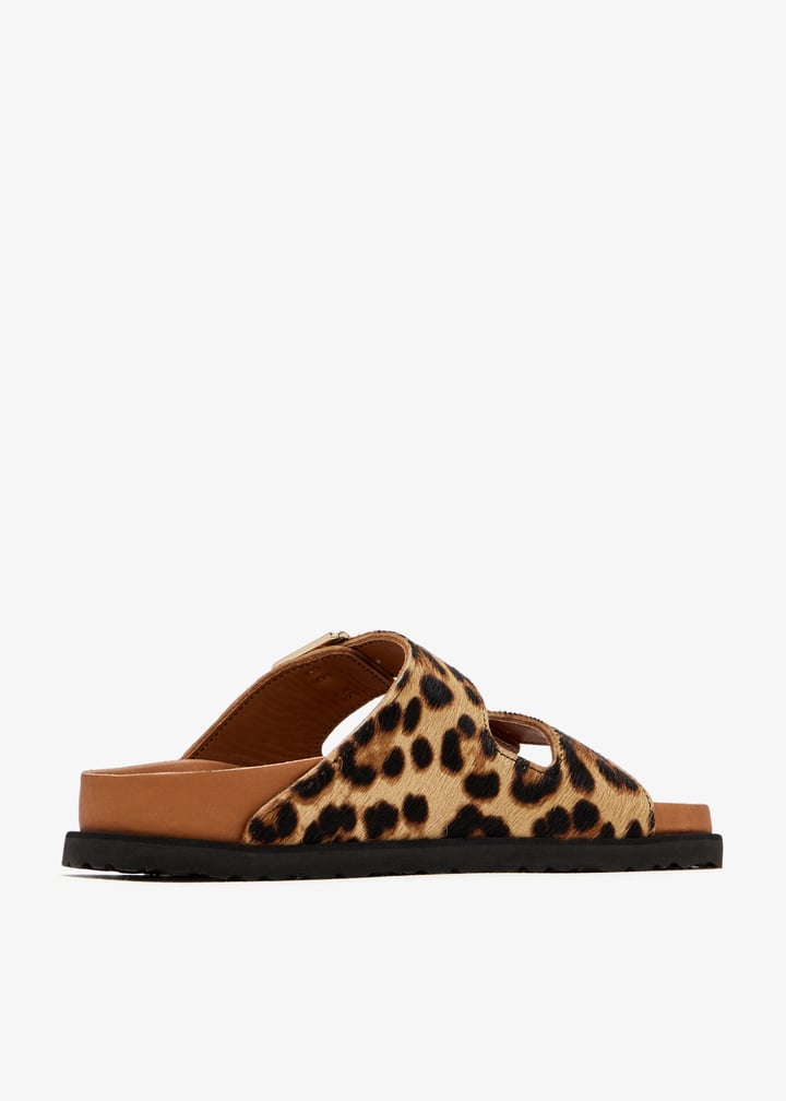 1031699-lepard_6.jpg?ts=20251001115621