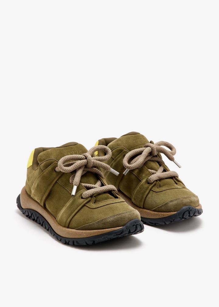 1031908-thyme_7.jpg?ts=20260302201021