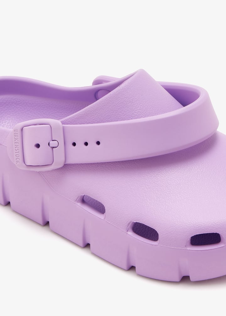 1032034-crocus_5.jpg?ts=20260201022539