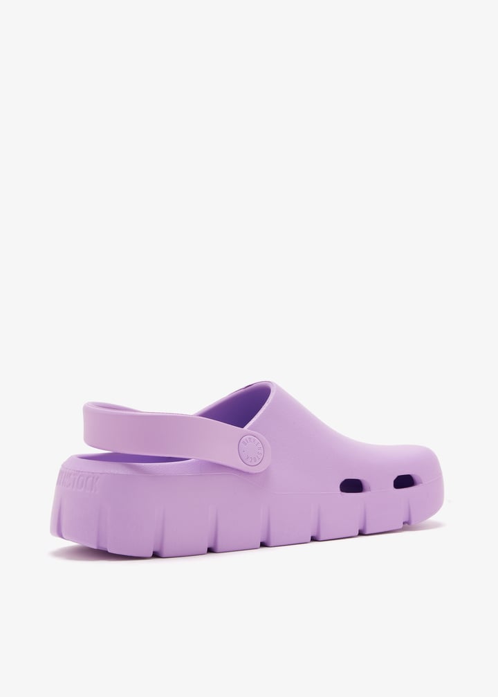 1032034-crocus_6.jpg?ts=20260201022540