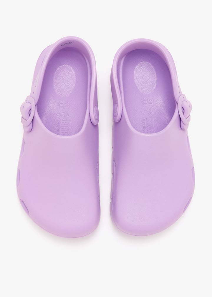 1032034-crocus_7.jpg?ts=20260201022540