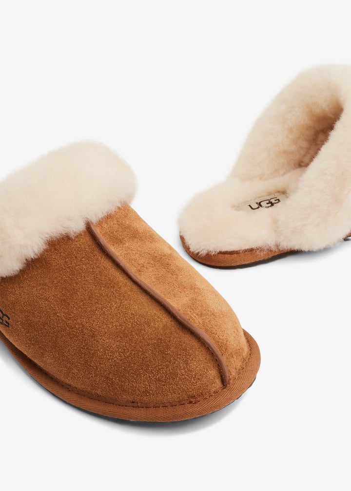 1106872-chsnut_3.jpg?ts=20241001035011