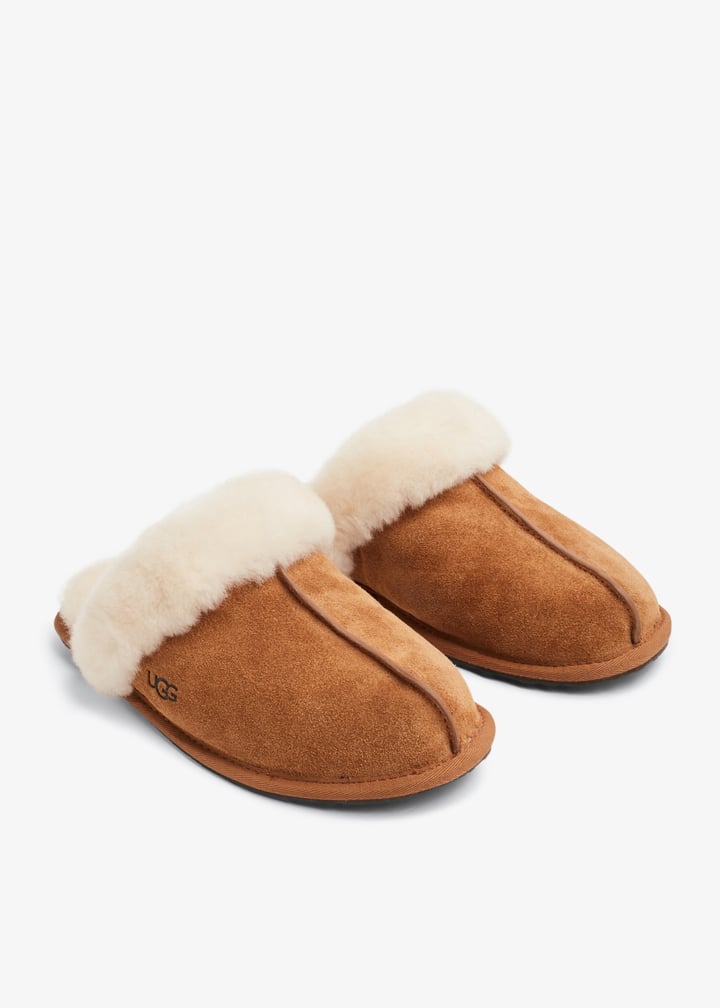 1106872-chsnut_5.jpg?ts=20241001035011