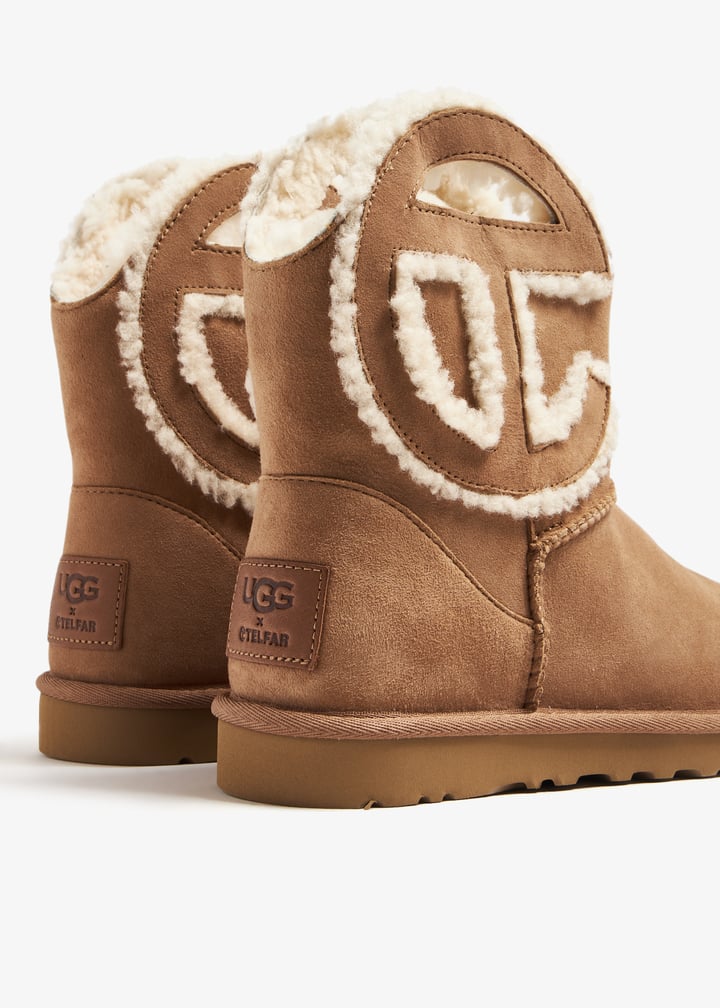 1122991-chsnut_3.jpg?ts=20231026072015