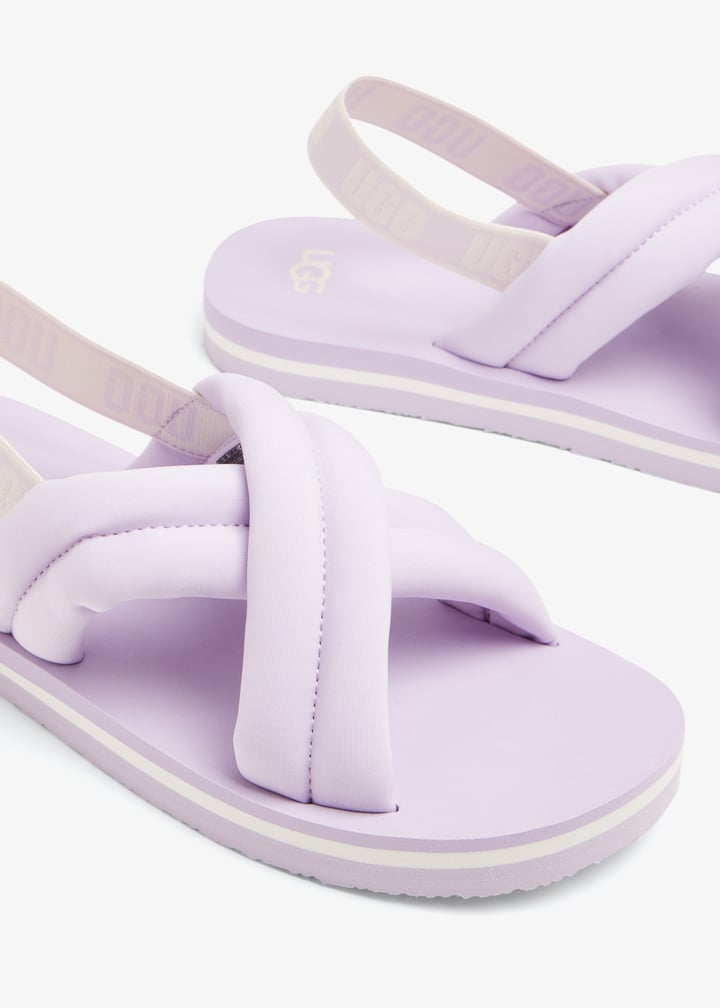 1124914k-lavfog_2.jpg?ts=20240222040523