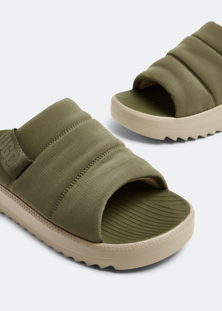 1137970-mosgrn_3.jpg?ts=20230829030507