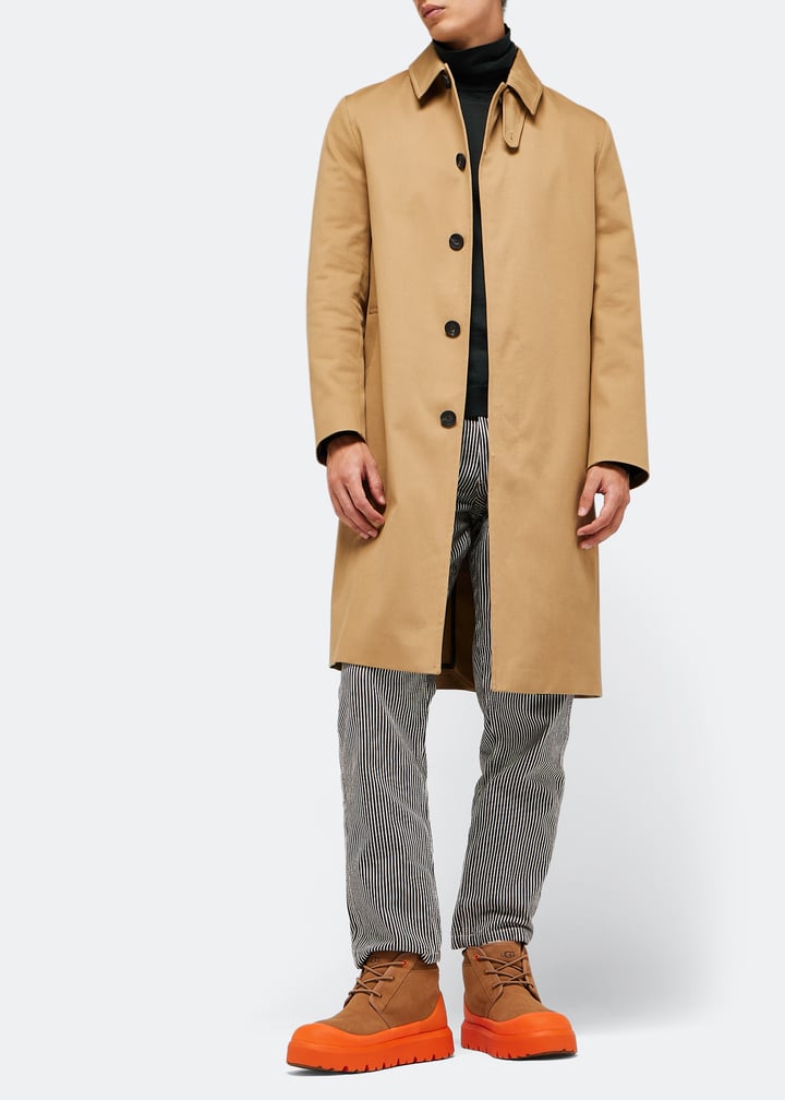 1143991-cheora_2.jpg?ts=20230927030509