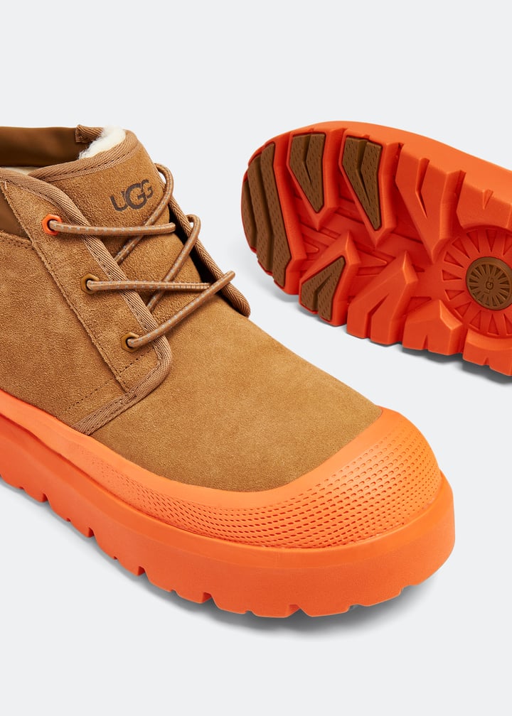 1143991-cheora_3.jpg?ts=20230927030509