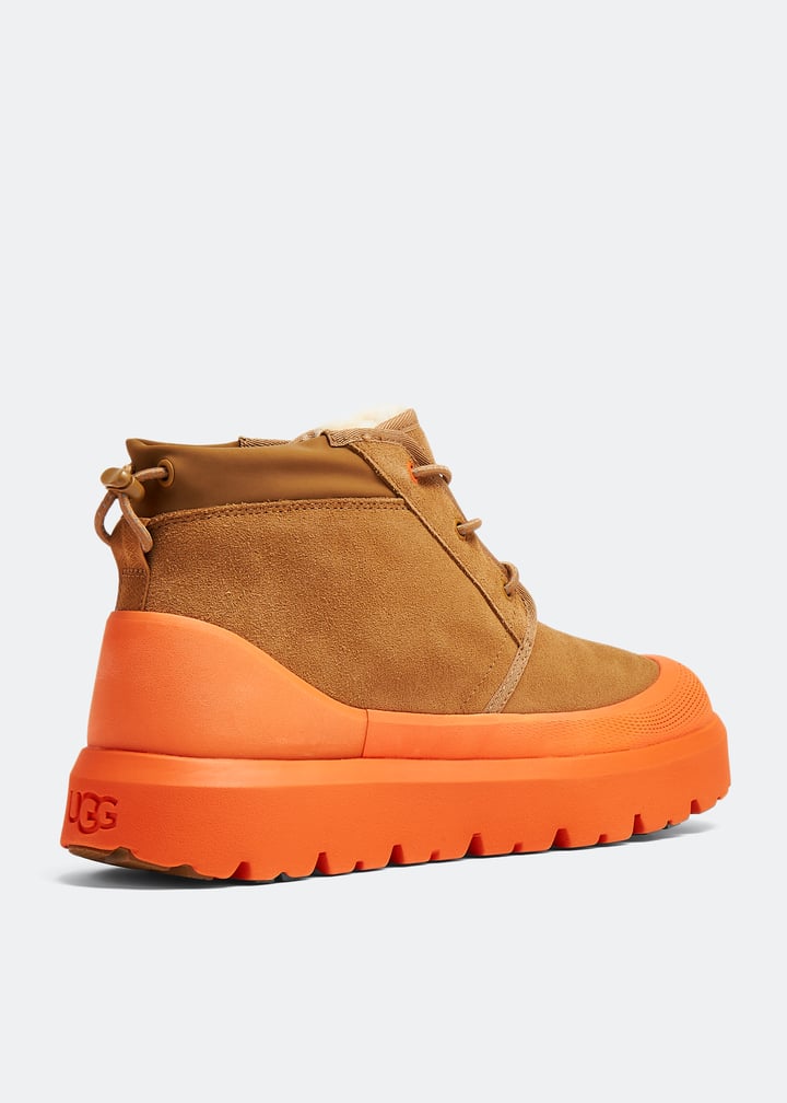 1143991-cheora_4.jpg?ts=20230927030509