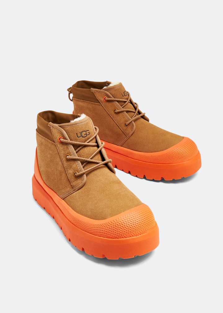 1143991-cheora_5.jpg?ts=20230927030509