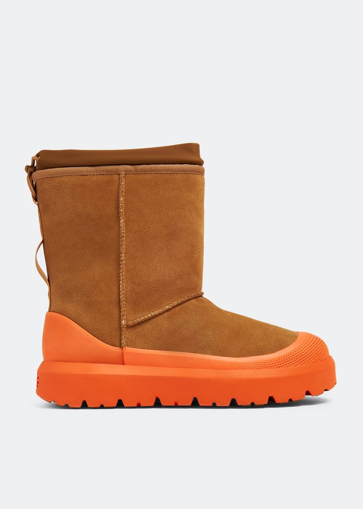 1143992-cheora_1.jpg?ts=20230928030508