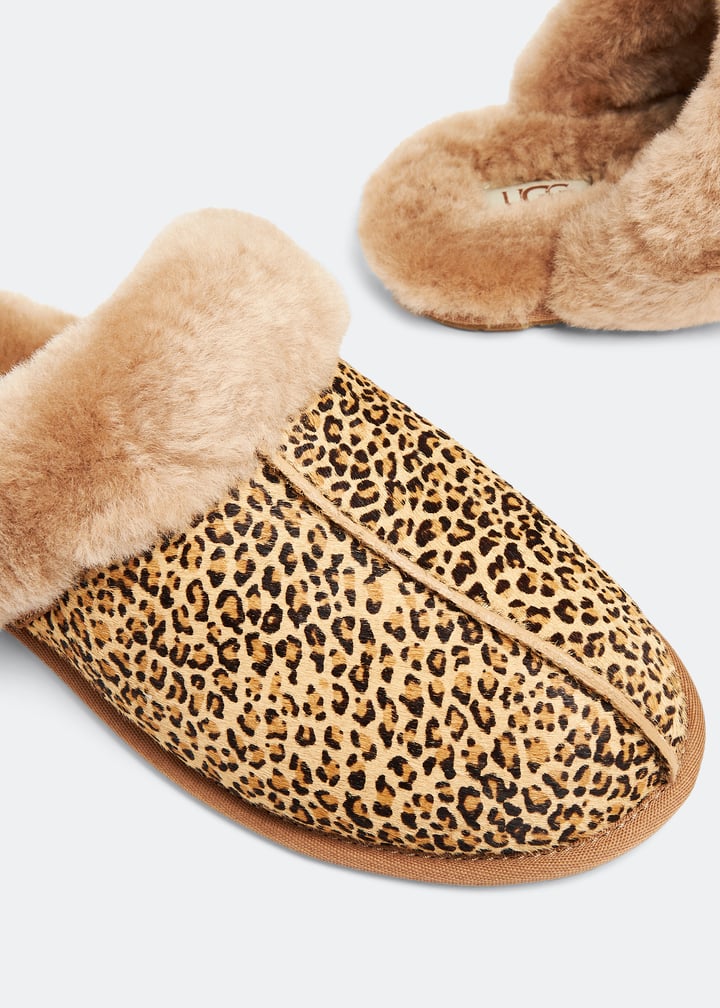 1151833-che_3.jpg?ts=20230921033508