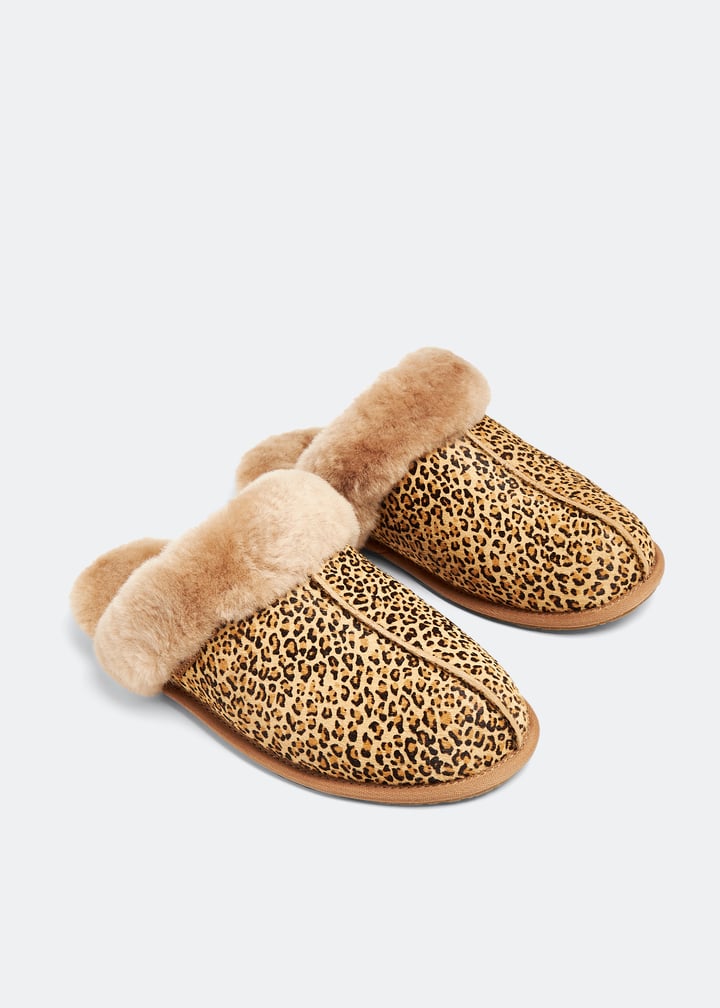 1151833-che_5.jpg?ts=20230921033508