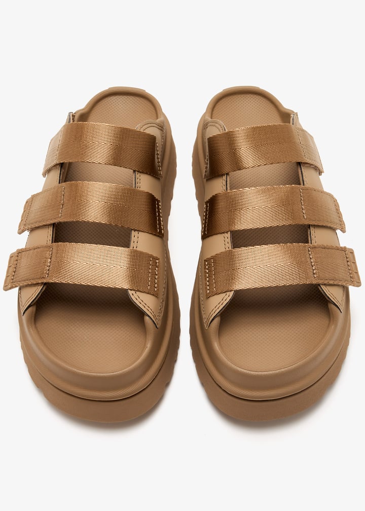 1167430-dnd_7.jpg?ts=20250320035513