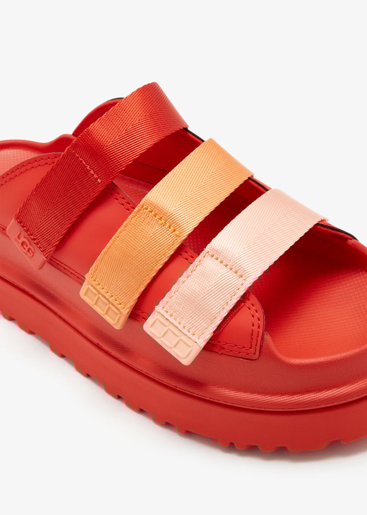 1167430-rdpp_5.jpg?ts=20260220020630